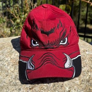 VTG Tail Gate’N Gear Arkansas Razorbacks Embroidered AOP Mascot Strapback Hat